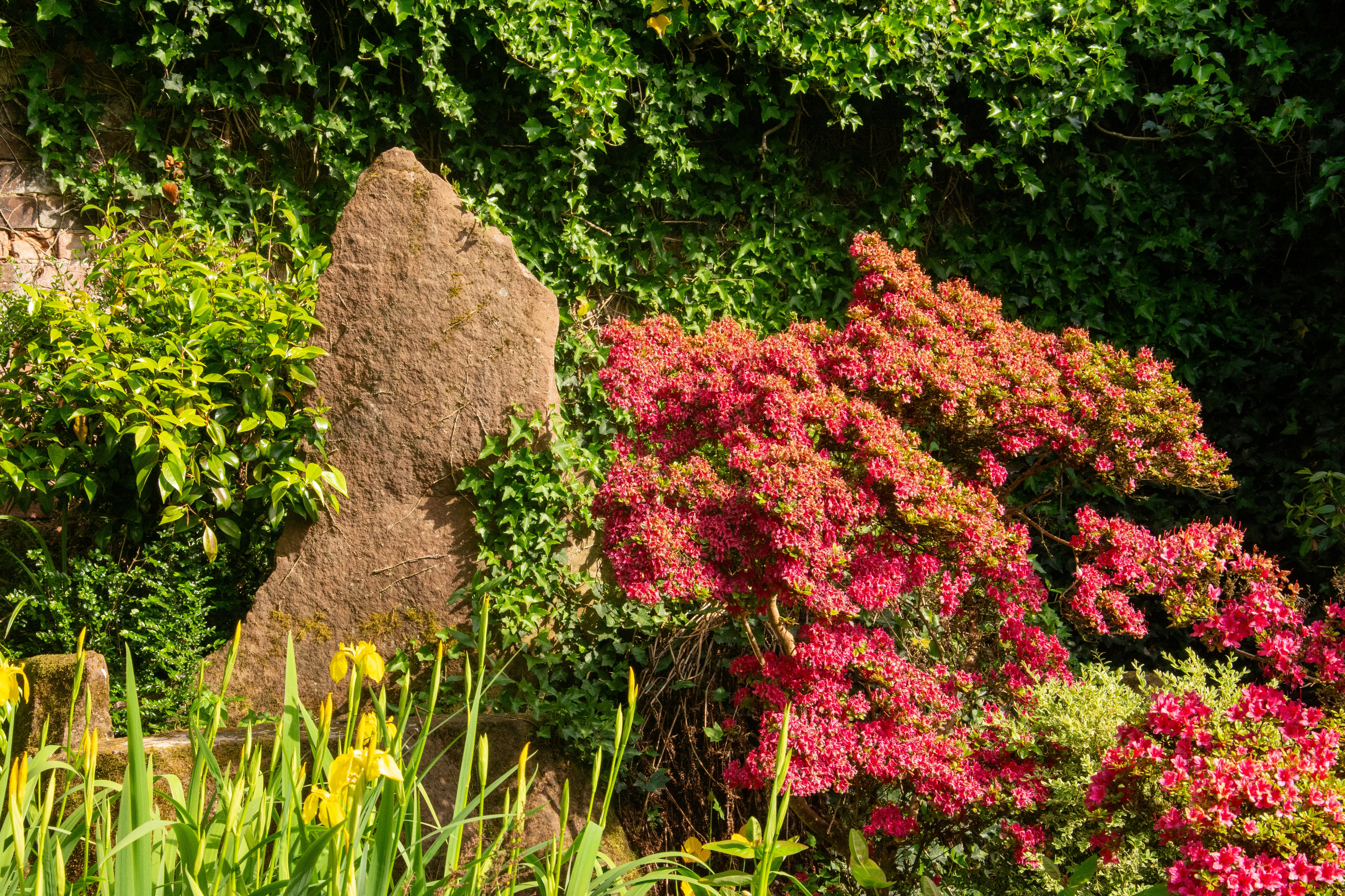 Gartenbau Erlangen